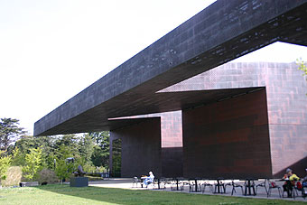 de young museum