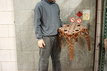 radiolaria-stool