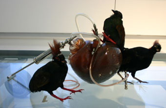 battle-of-love-by-sabrina-metselaar.