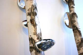 gewassen-boom-by-maria-roosen