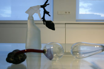 glassex-by-deborah-hopkins