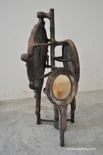 copy-nature-bruno-carvalho